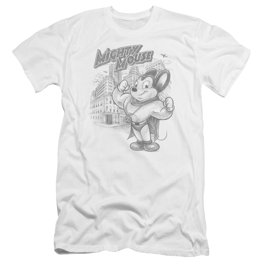 MIGHTY MOUSE/PROTECT AND SERVE