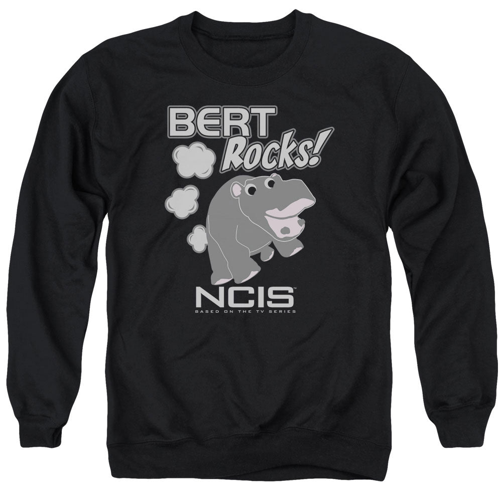 NCIS/BERT ROCKS