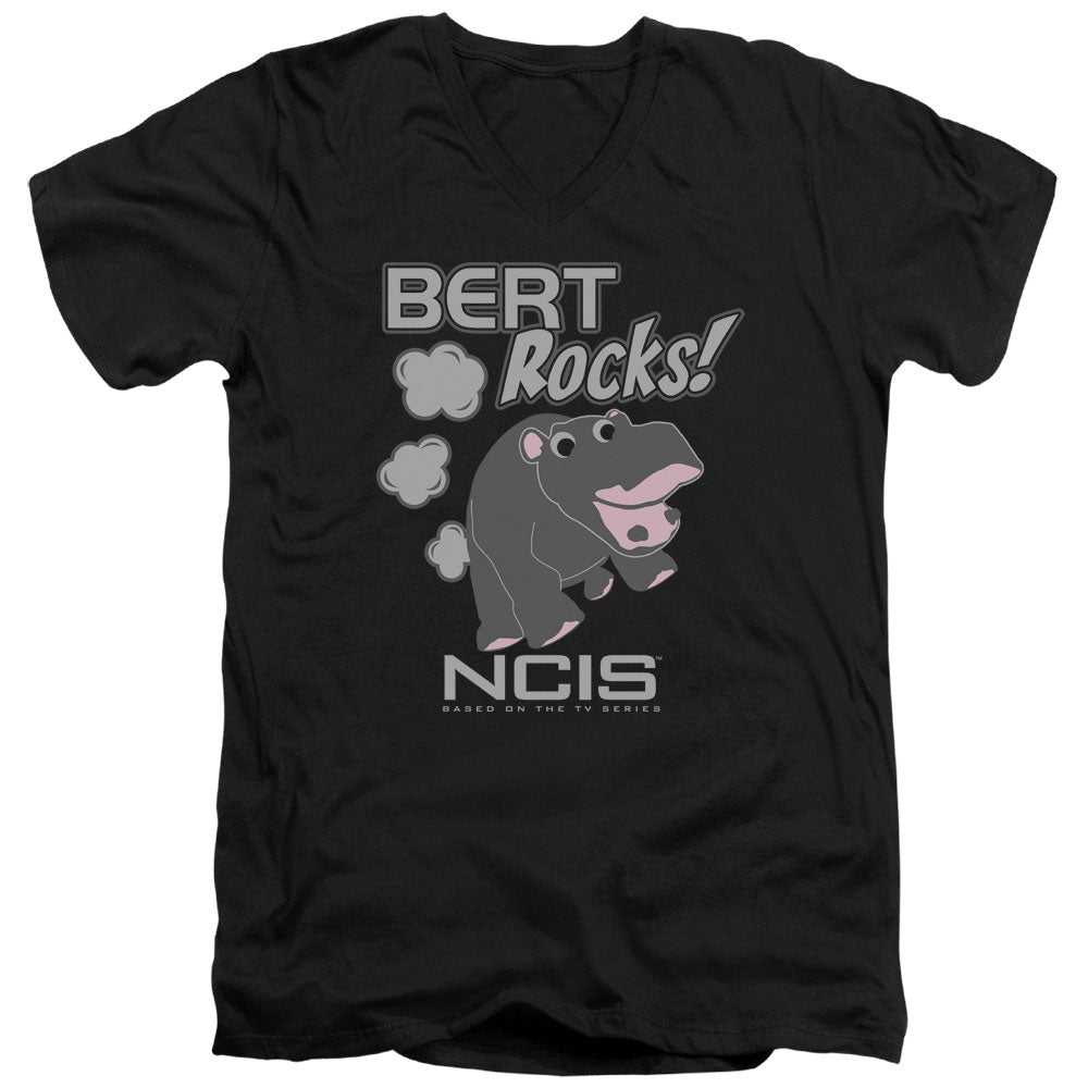 NCIS/BERT ROCKS