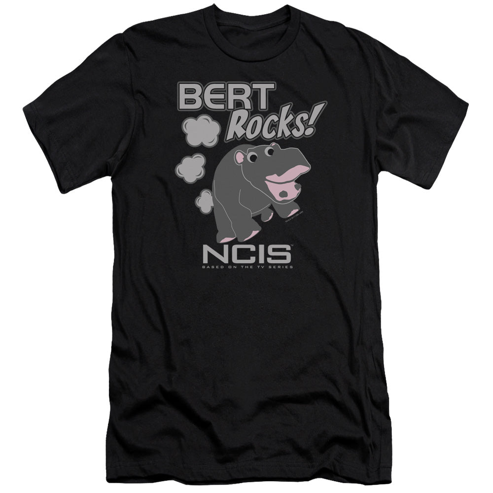 NCIS/BERT ROCKS