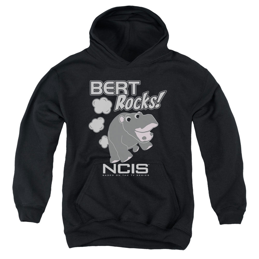 NCIS/BERT ROCKS