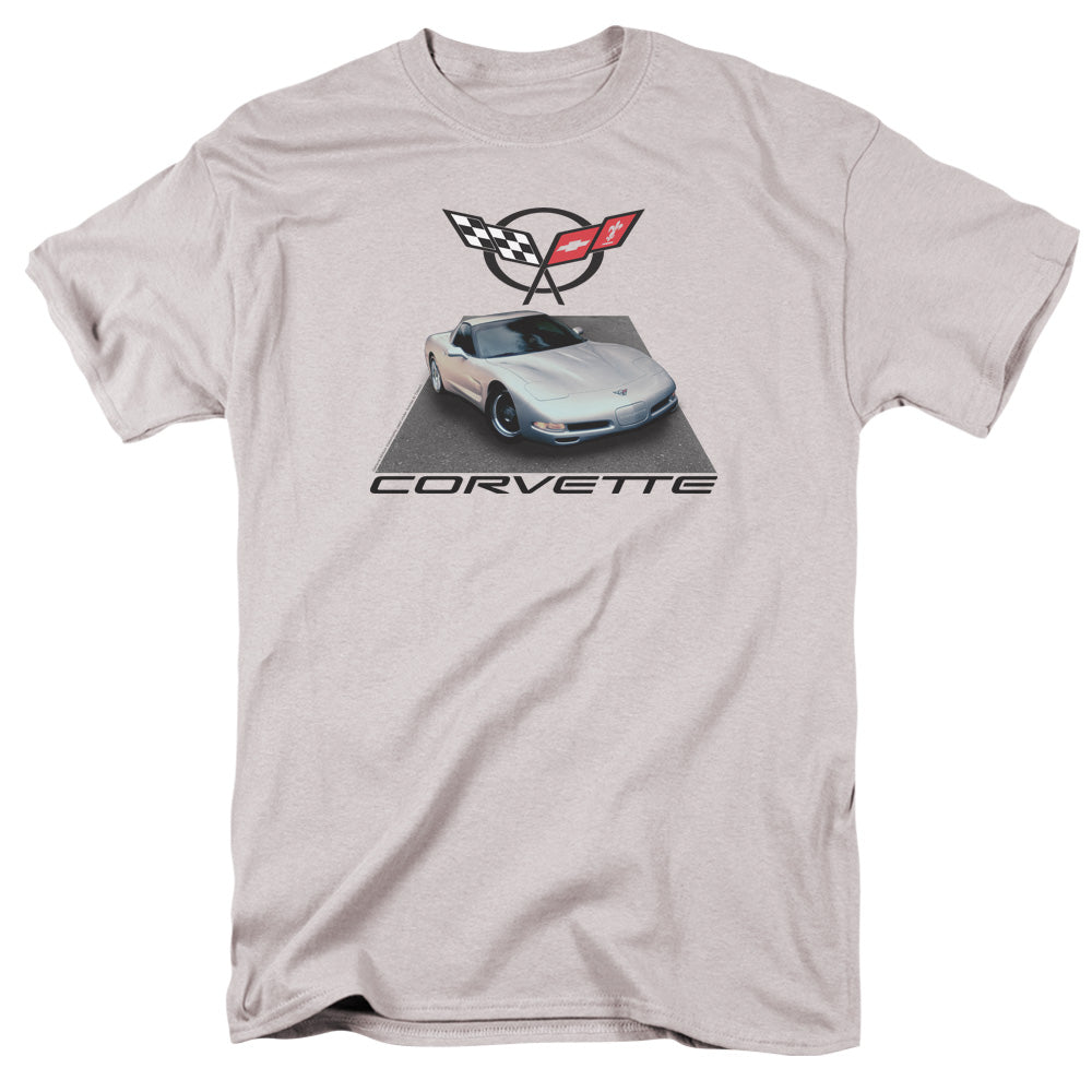 CHEVROLET/SILVER 01 VETTE