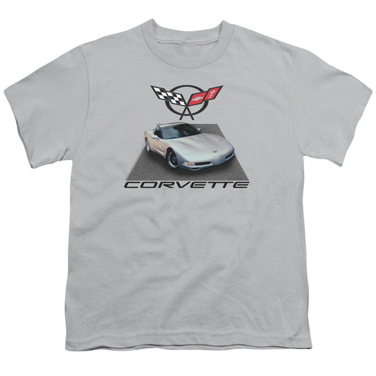 CHEVROLET/SILVER 01 VETTE