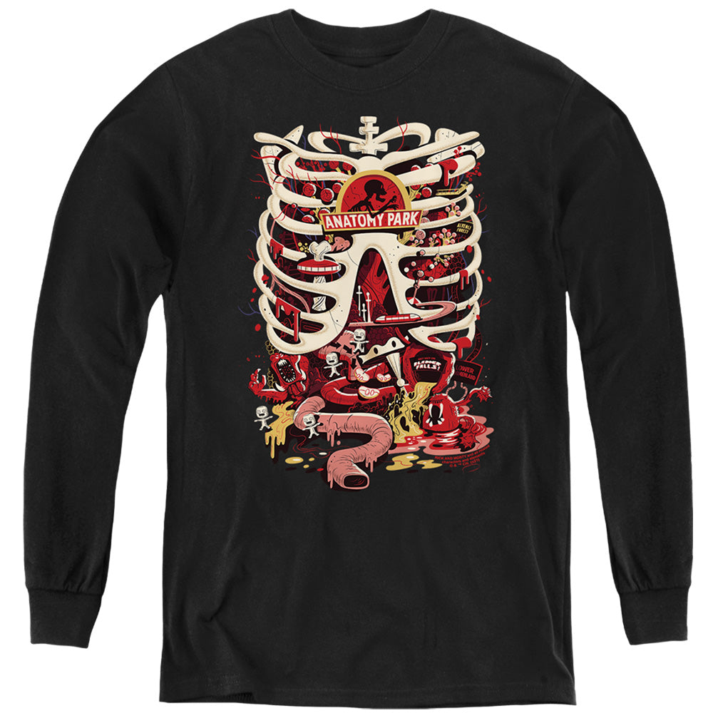 RICK AND MORTY/ANATOMY PARK LOGO