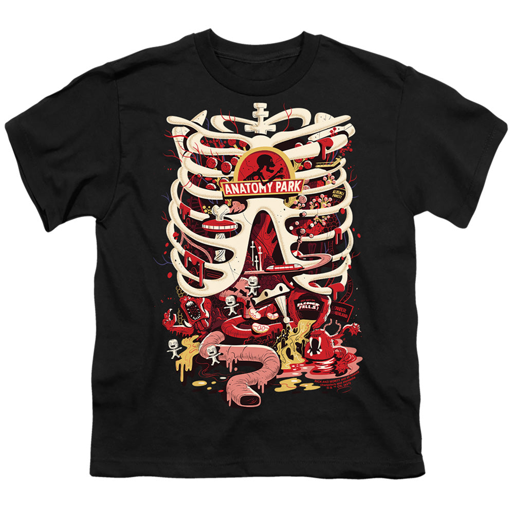RICK AND MORTY/ANATOMY PARK LOGO