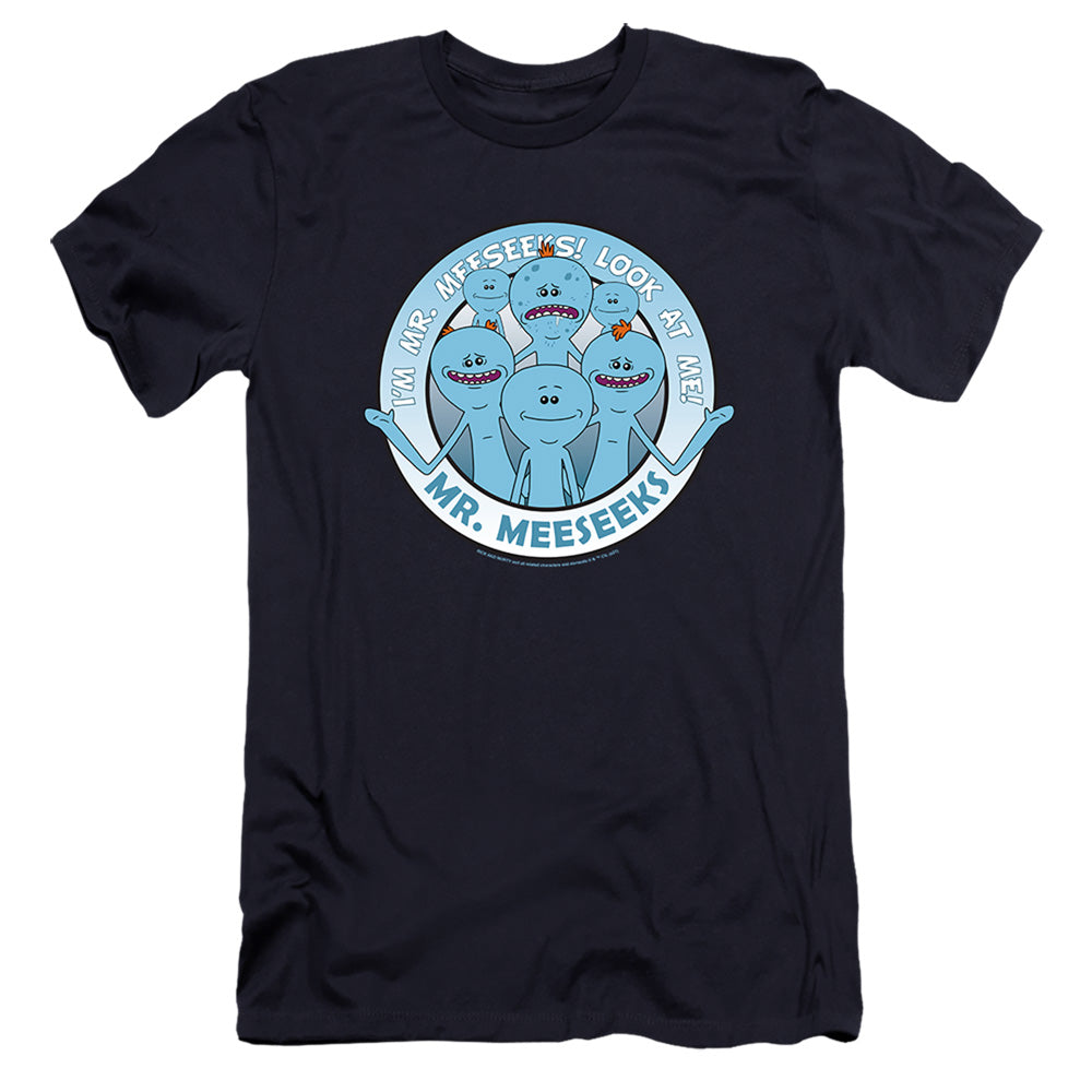RICK AND MORTY/MR MEESEEKS