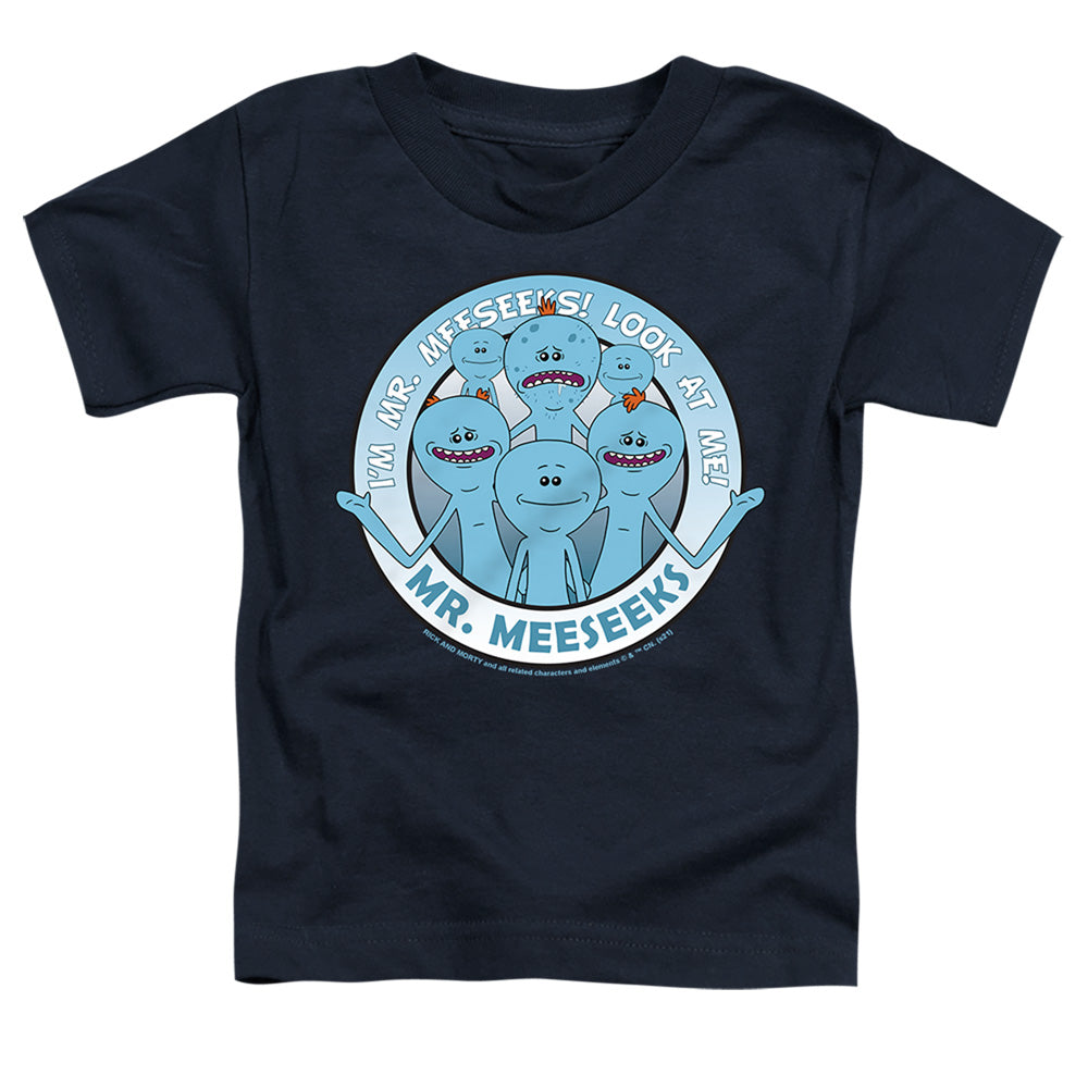 RICK AND MORTY/MR MEESEEKS