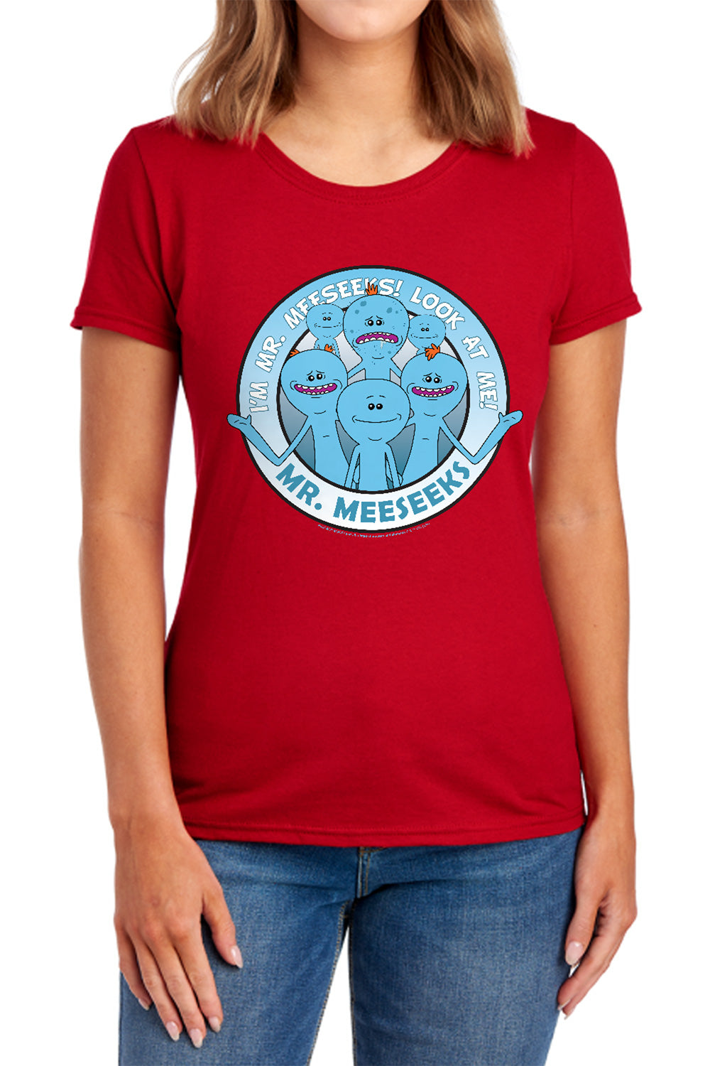 RICK AND MORTY/MR MEESEEKS