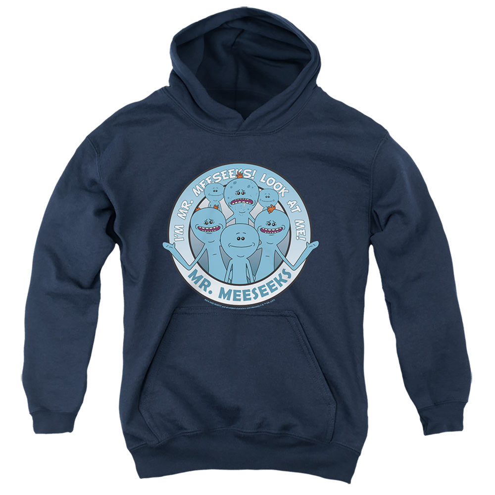 RICK AND MORTY/MR MEESEEKS