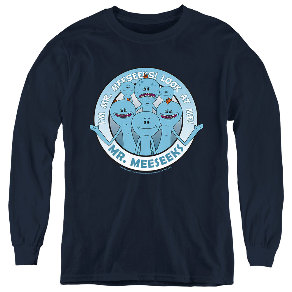 RICK AND MORTY/MR MEESEEKS