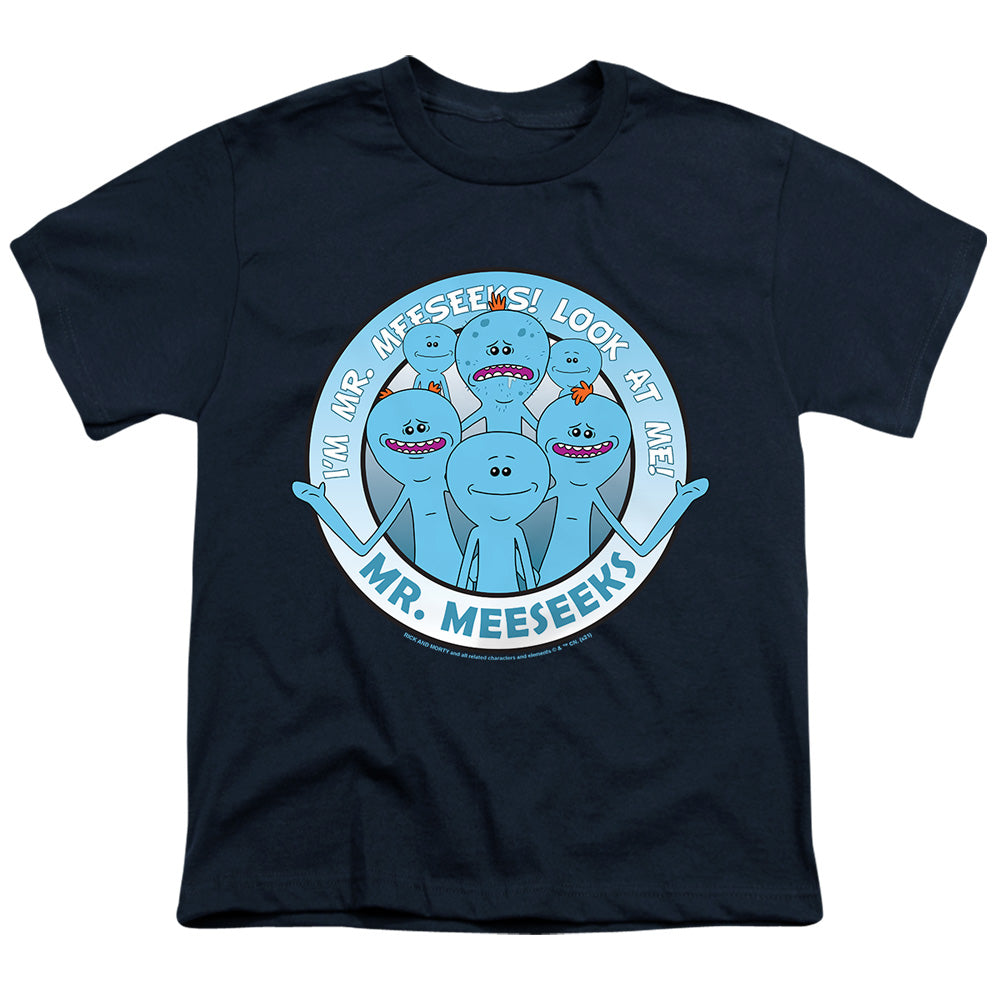RICK AND MORTY/MR MEESEEKS