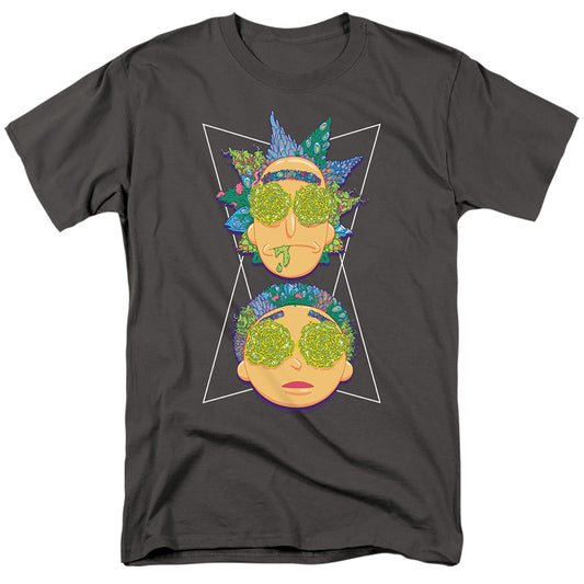 RICK AND MORTY/PORTAL EYES