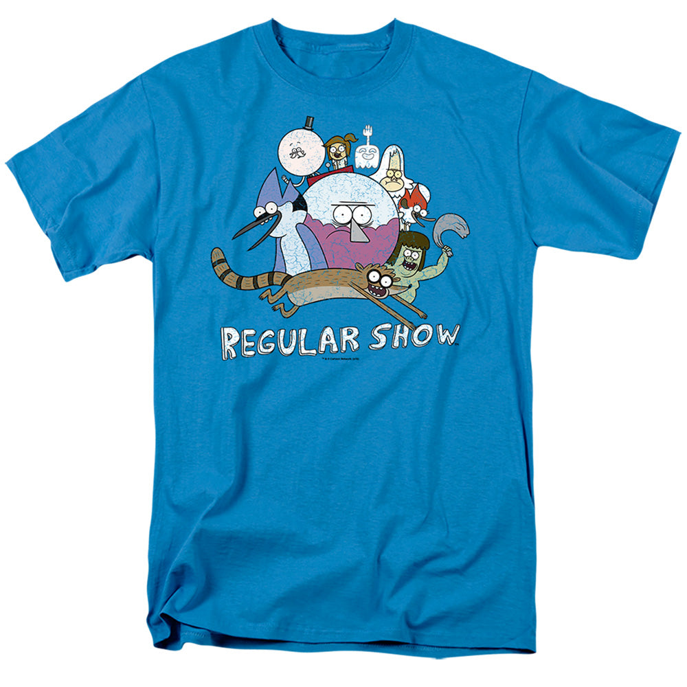 REGULAR SHOW/SURROUNDING BENSON