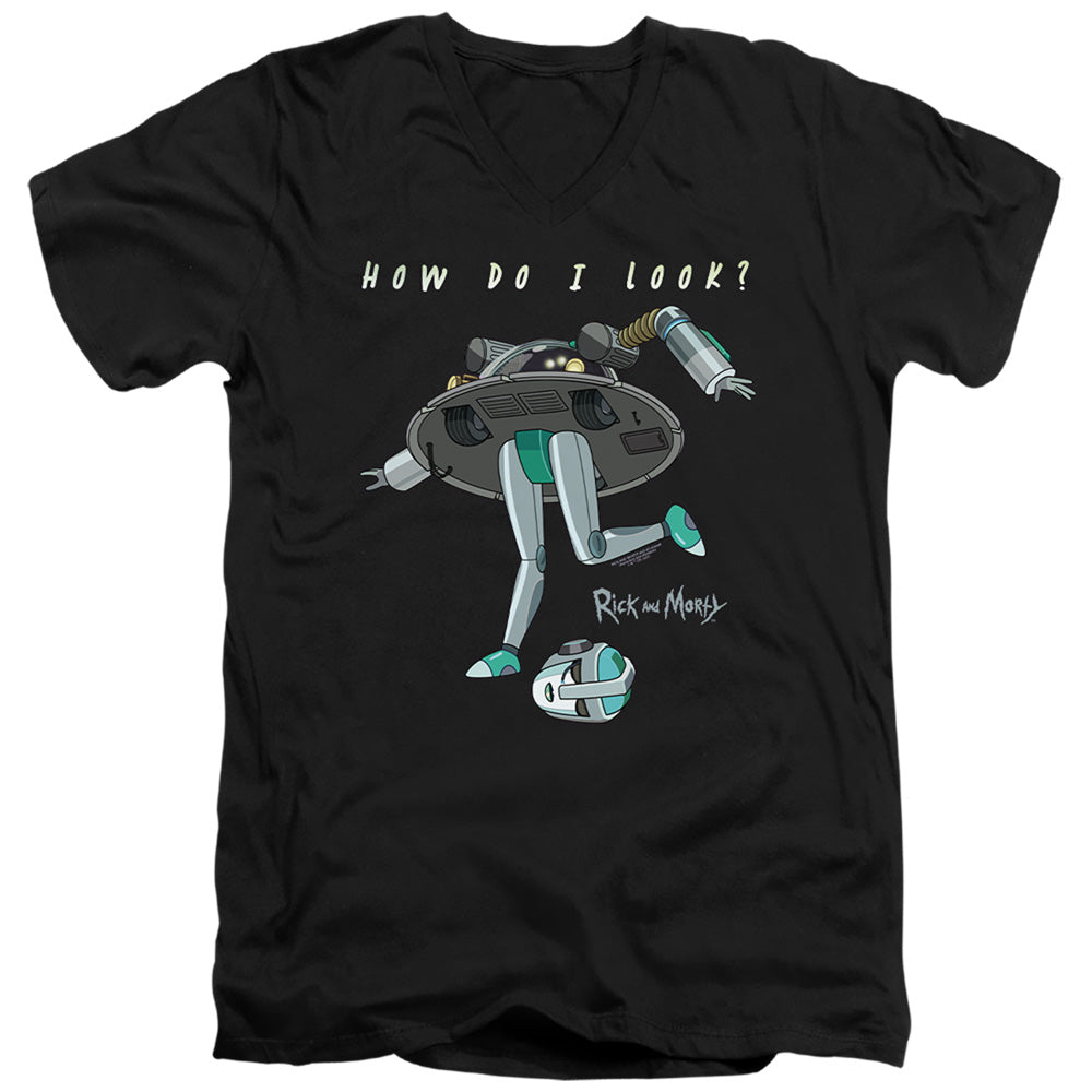 RICK AND MORTY/HOW DO I LOOK?
