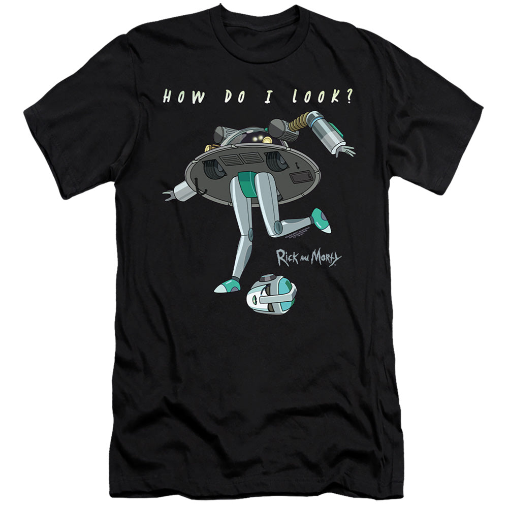 RICK AND MORTY/HOW DO I LOOK?
