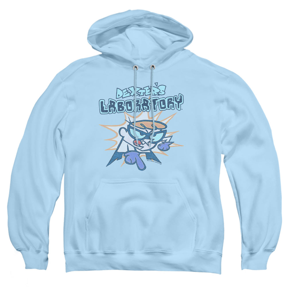 DEXTER'S LABORATORY/WHAT DO YOU WANT