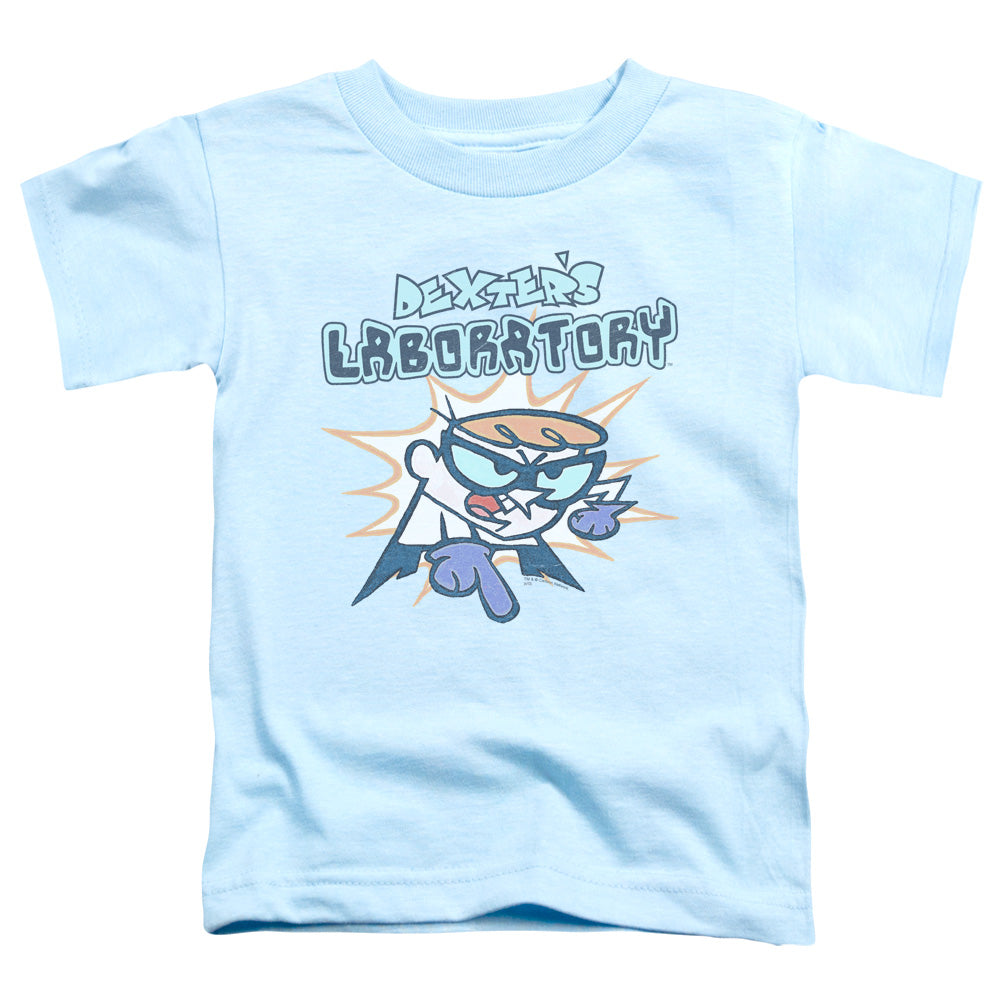 DEXTER'S LABORATORY/WHAT DO YOU WANT