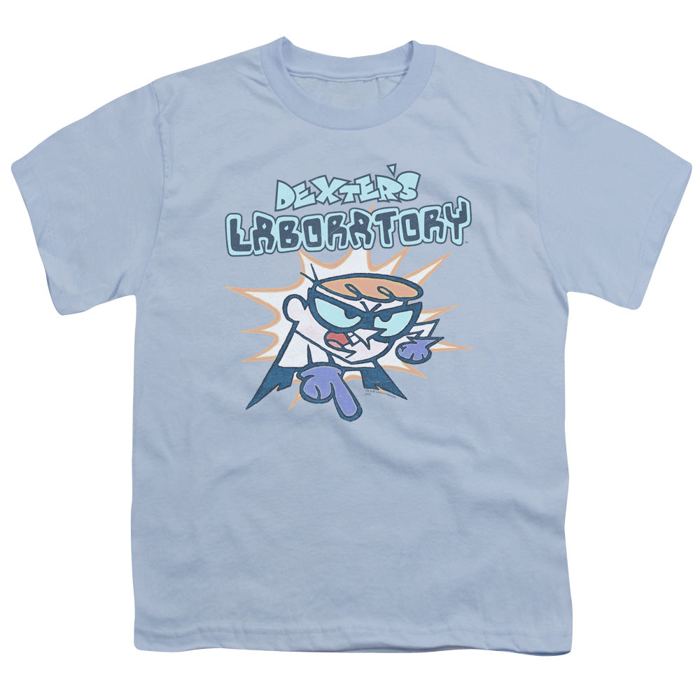 DEXTER'S LABORATORY/WHAT DO YOU WANT