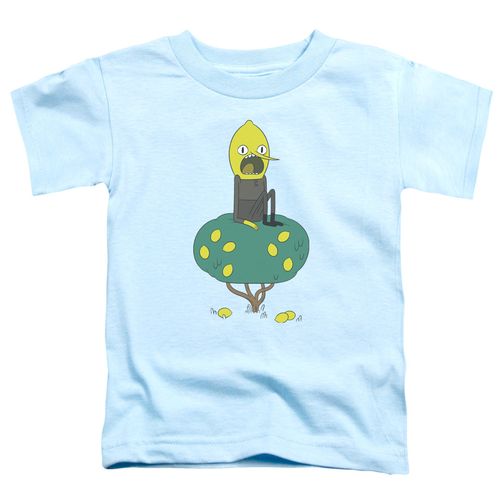 ADVENTURE TIME/LEMONGRAB