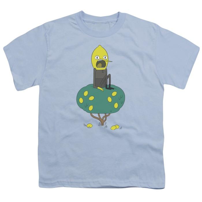 Adventure Time : Lemongrab