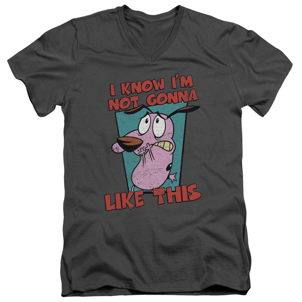 COURAGE THE COWARDLY DOG/NOT GONNA LIKE
