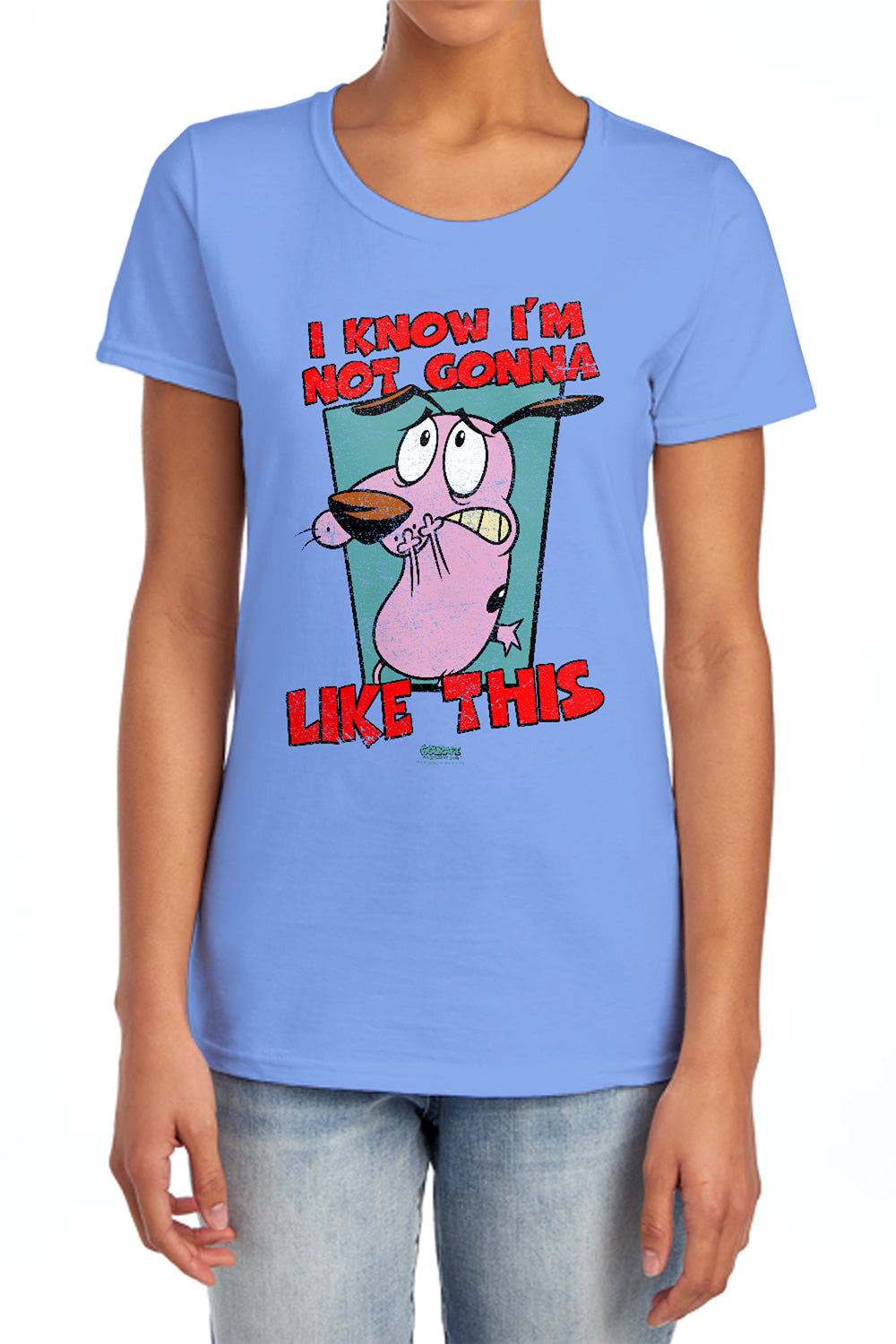 COURAGE THE COWARDLY DOG/NOT GONNA LIKE