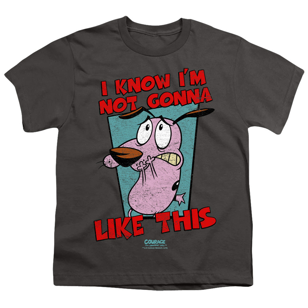COURAGE THE COWARDLY DOG/NOT GONNA LIKE