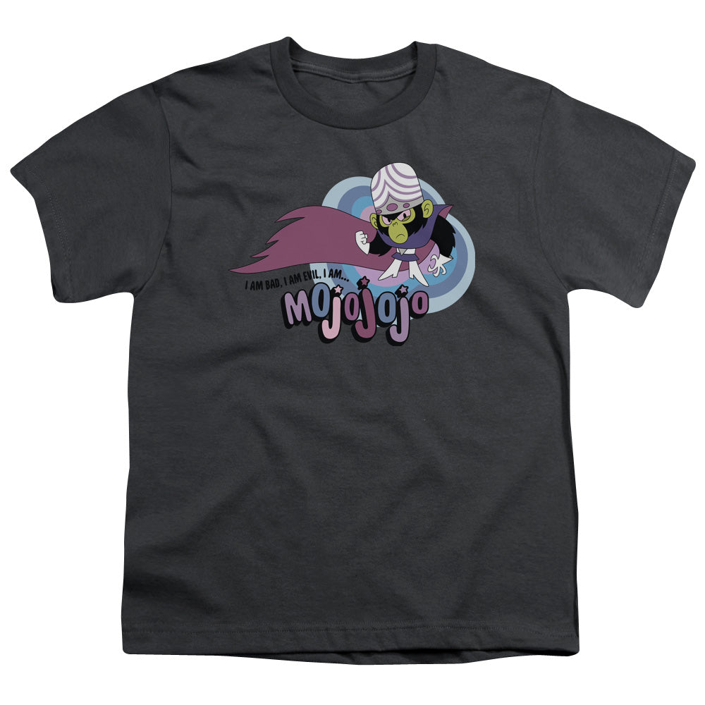 POWERPUFF GIRLS/I AM BAD I AM EVIL