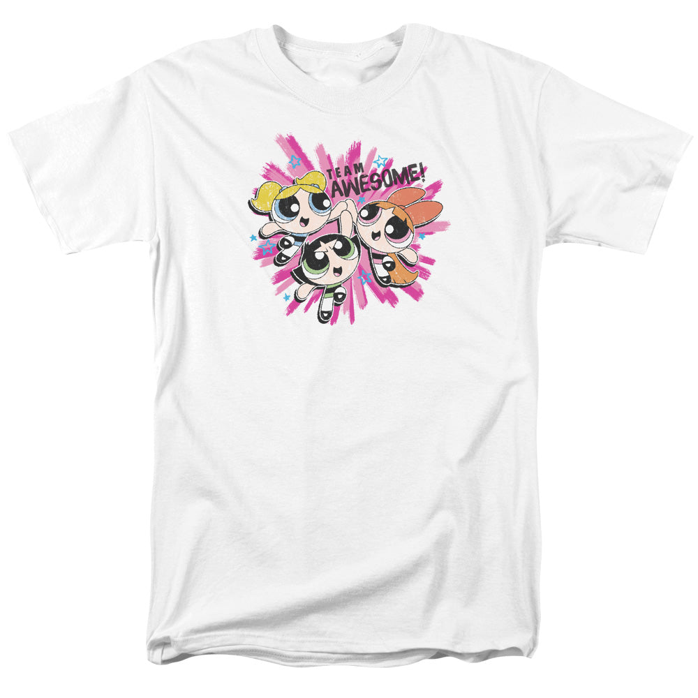 POWERPUFF GIRLS/TEAM AWESOME