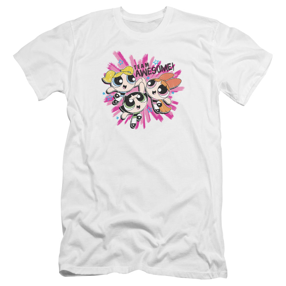 POWERPUFF GIRLS/TEAM AWESOME