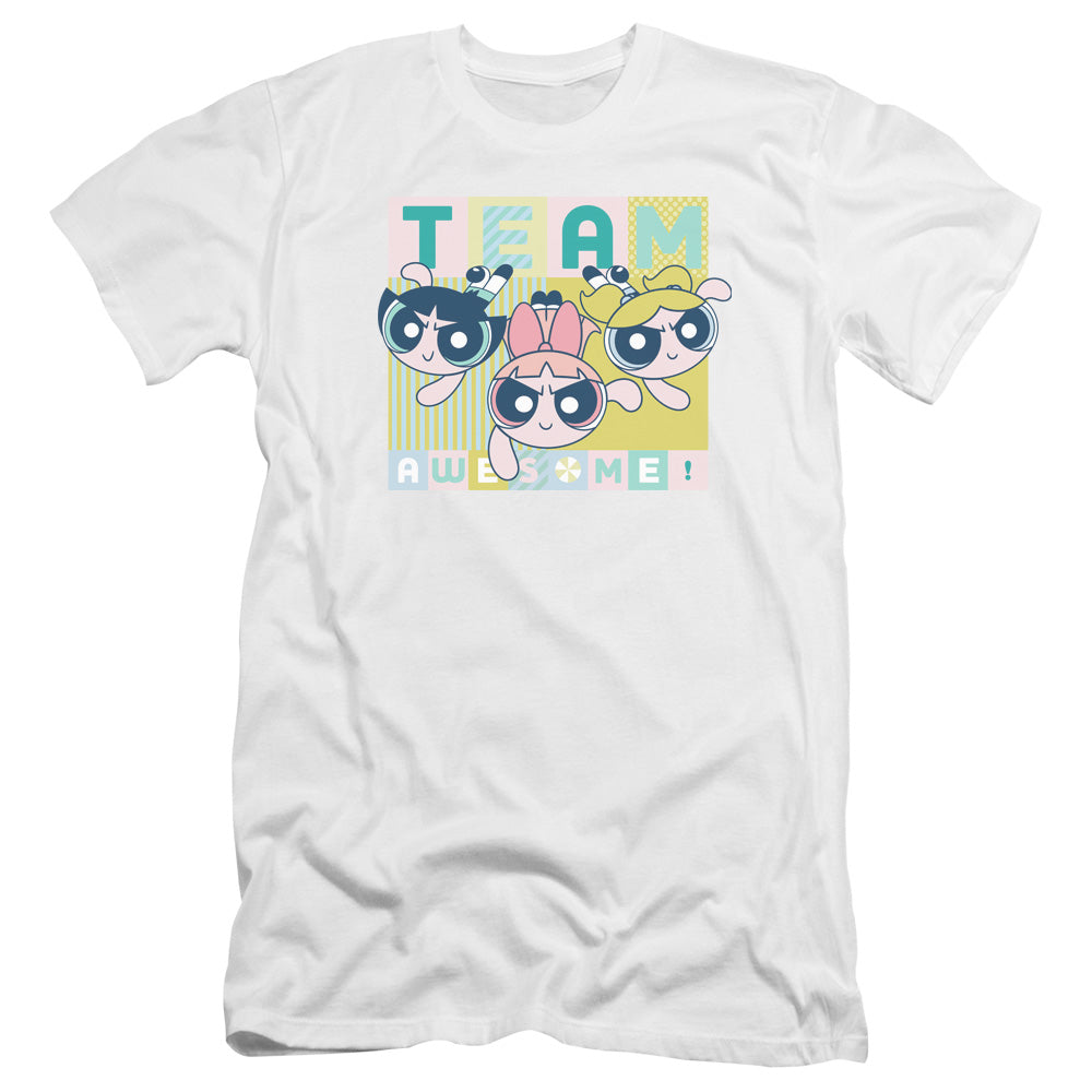 POWERPUFF GIRLS/AWESOME BLOCK