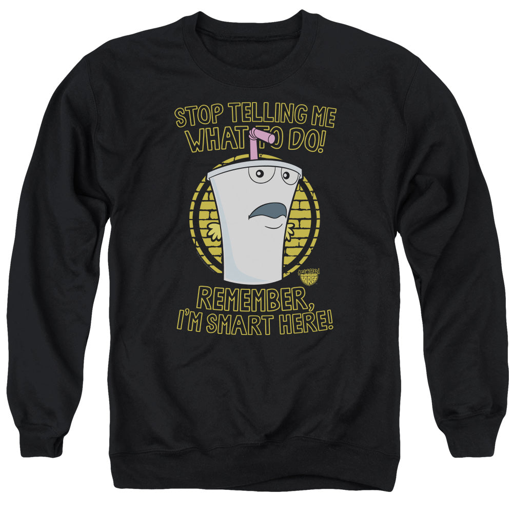 AQUA TEEN HUNGER FORCE/STOP