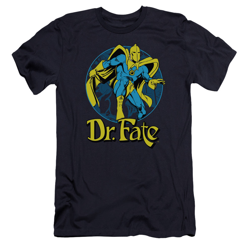 DC/DR FATE ANKH