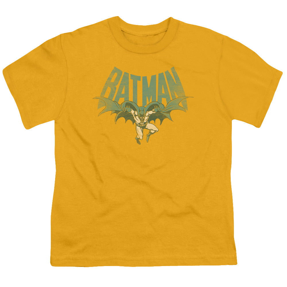 DC/FLYING BAT