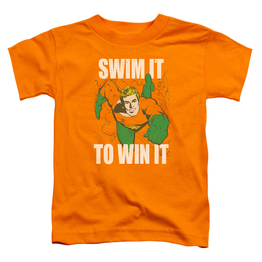 DC/SWIM IT