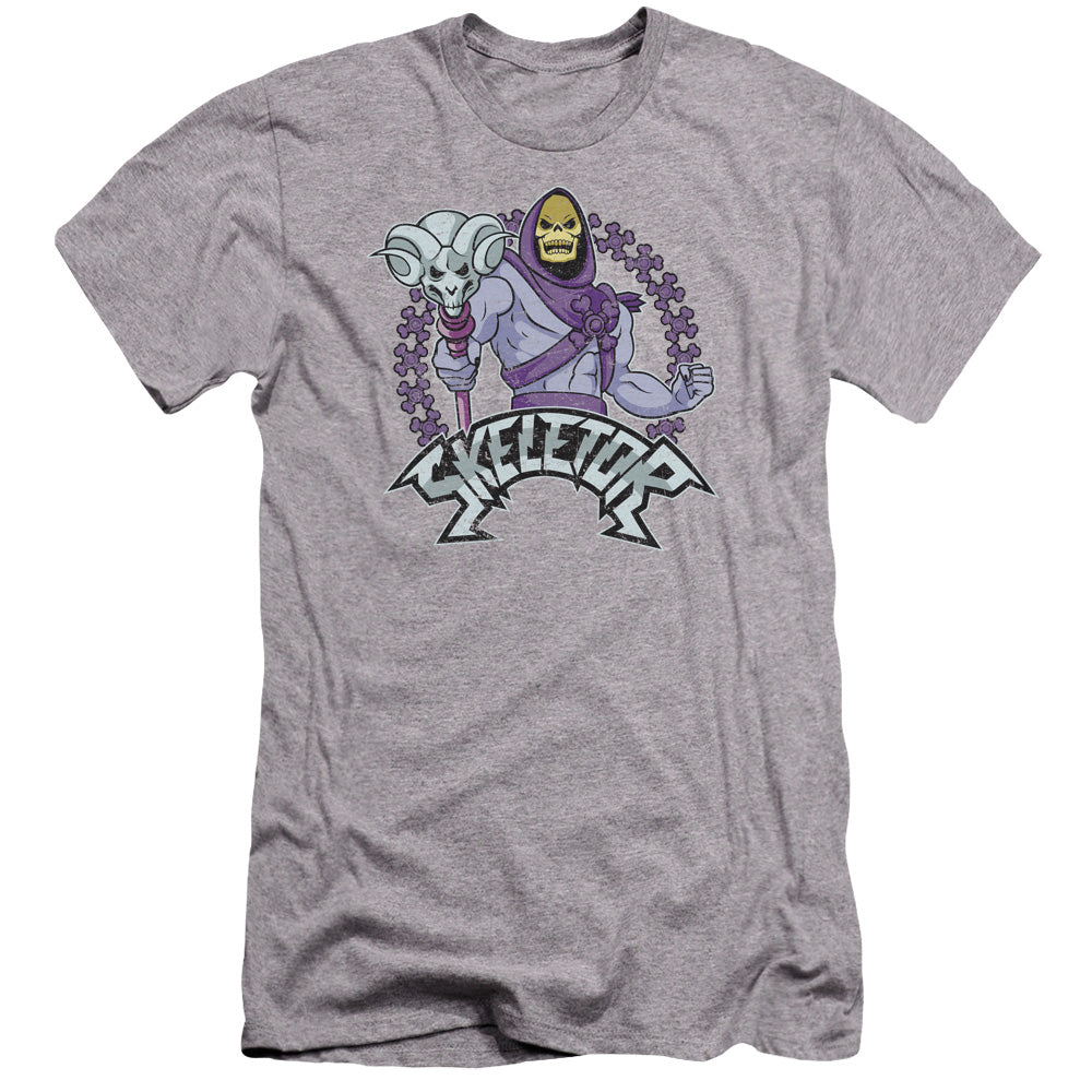 MASTERS OF THE UNIVERSE/SKELETOR