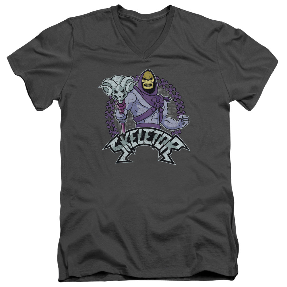 MASTERS OF THE UNIVERSE/SKELETOR