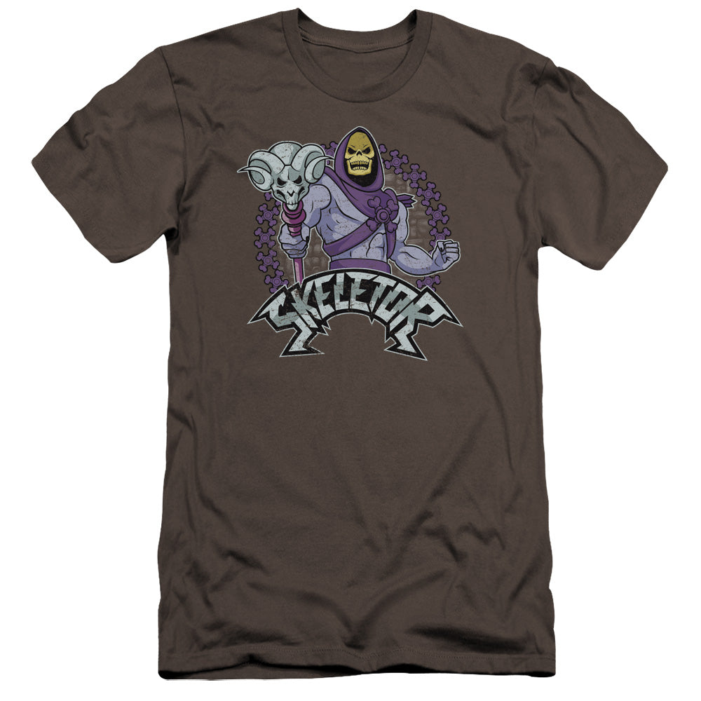 MASTERS OF THE UNIVERSE/SKELETOR