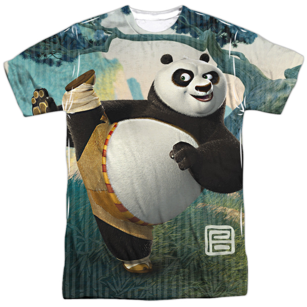 KUNG FU PANDA/TRAINING