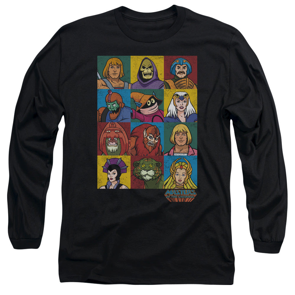 MASTERS OF THE UNIVERSE/CHARACTER HEADS