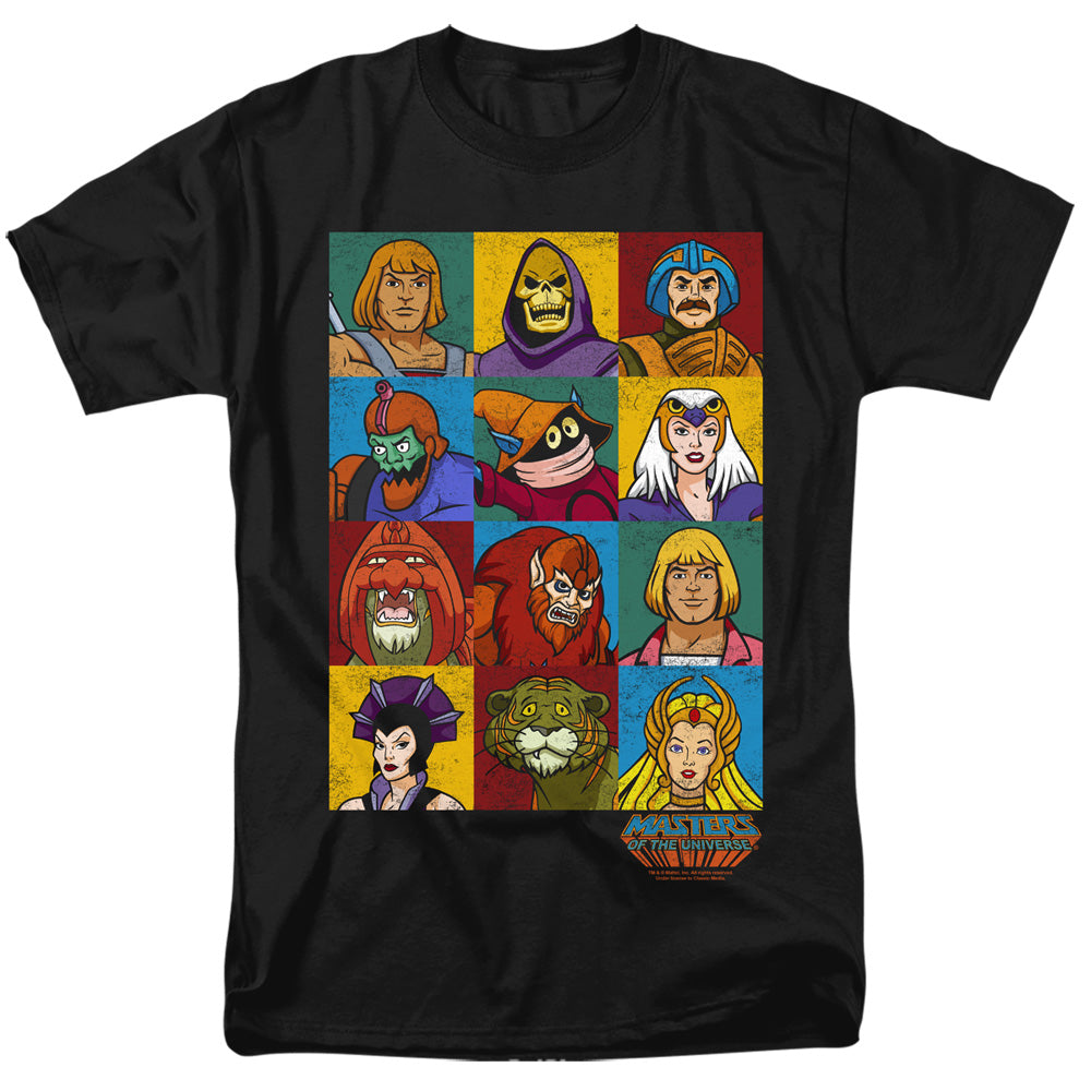 MASTERS OF THE UNIVERSE/CHARACTER HEADS