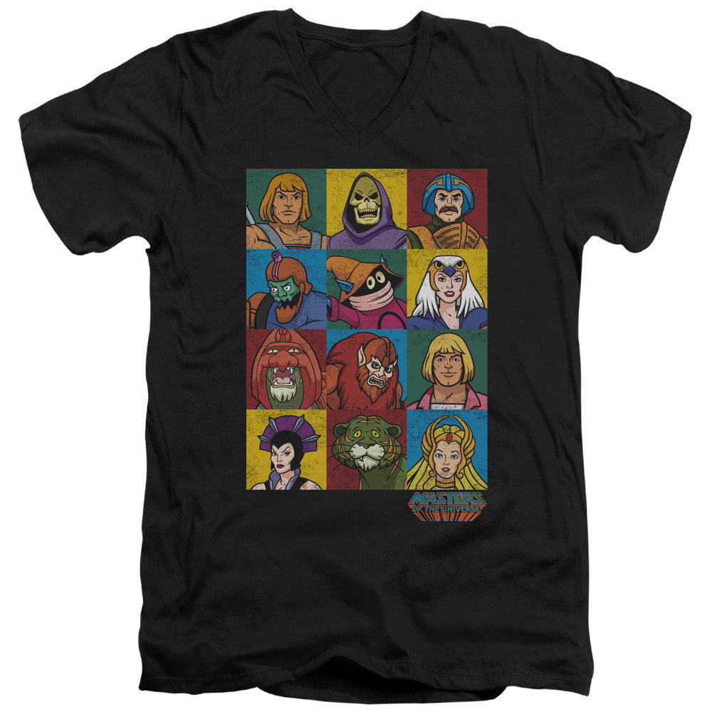 MASTERS OF THE UNIVERSE/CHARACTER HEADS