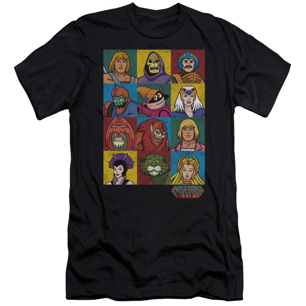 MASTERS OF THE UNIVERSE/CHARACTER HEADS
