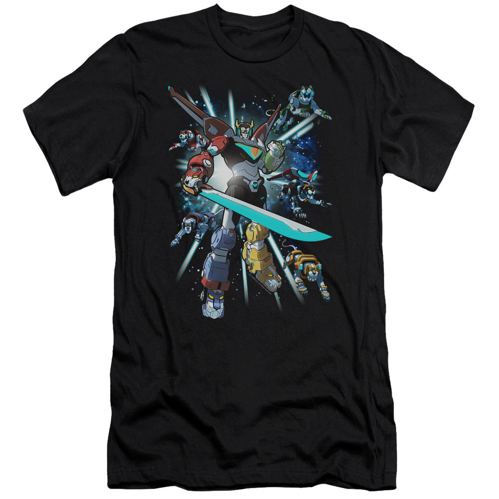 VOLTRON/LIONS SHARE