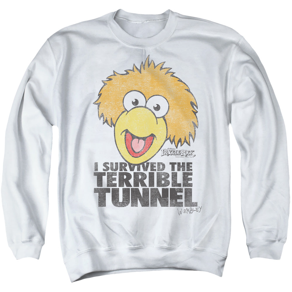 FRAGGLE ROCK/TERRIBLE TUNNEL