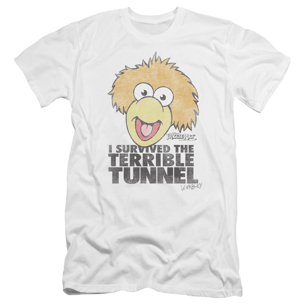 FRAGGLE ROCK/TERRIBLE TUNNEL