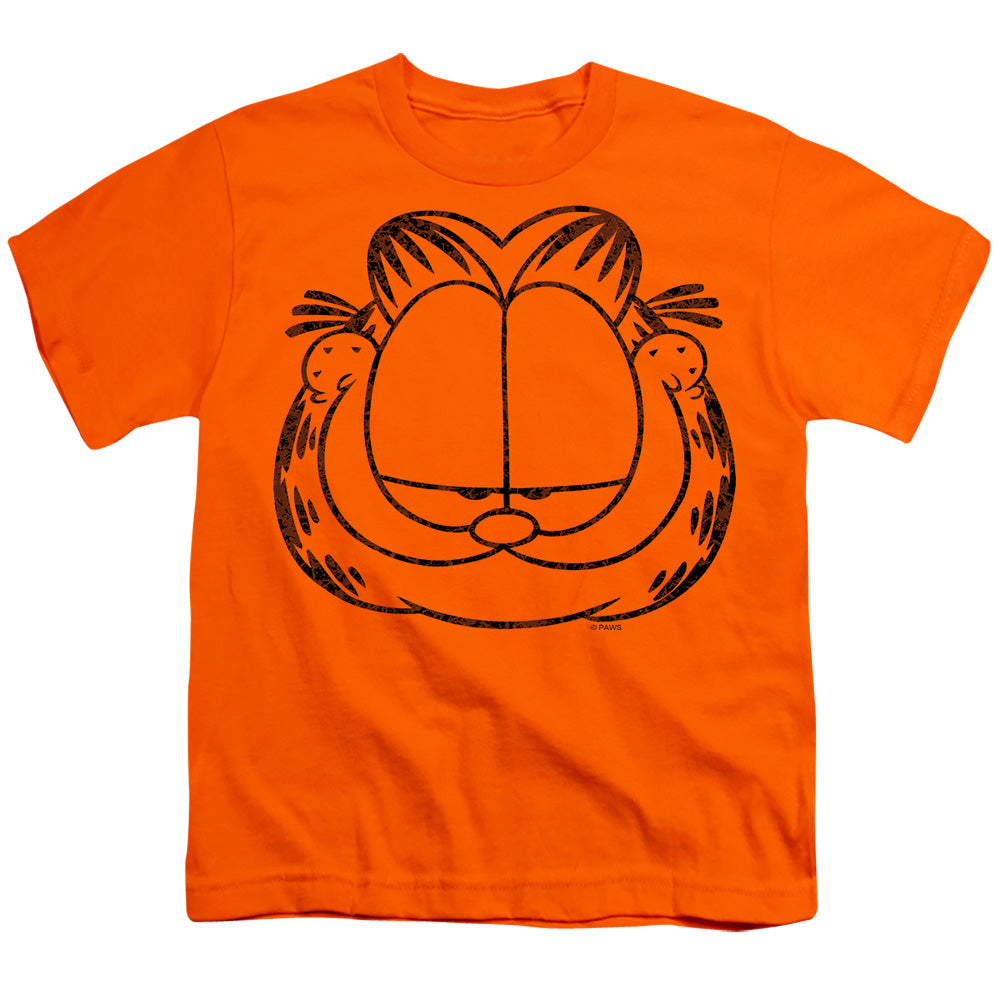 GARFIELD/SMIRKING DISTRESSED