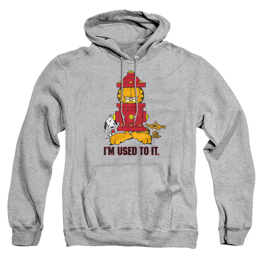 GARFIELD/I'M USED TO IT