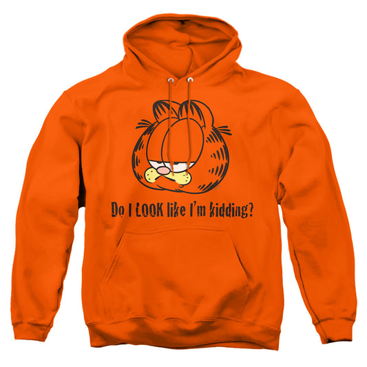 GARFIELD/DO I LOOK LIKE I'M KIDDING