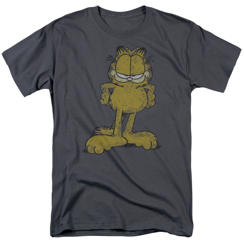 GARFIELD/BIG OL CAT